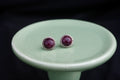 The Purple Spiny oyster studs