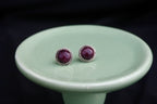 The Purple Spiny oyster studs